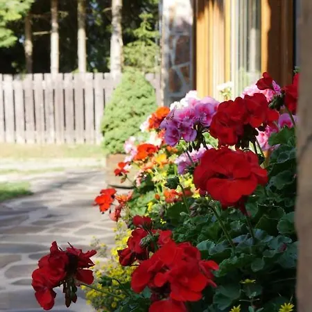 게스트하우스 Aspen 3*